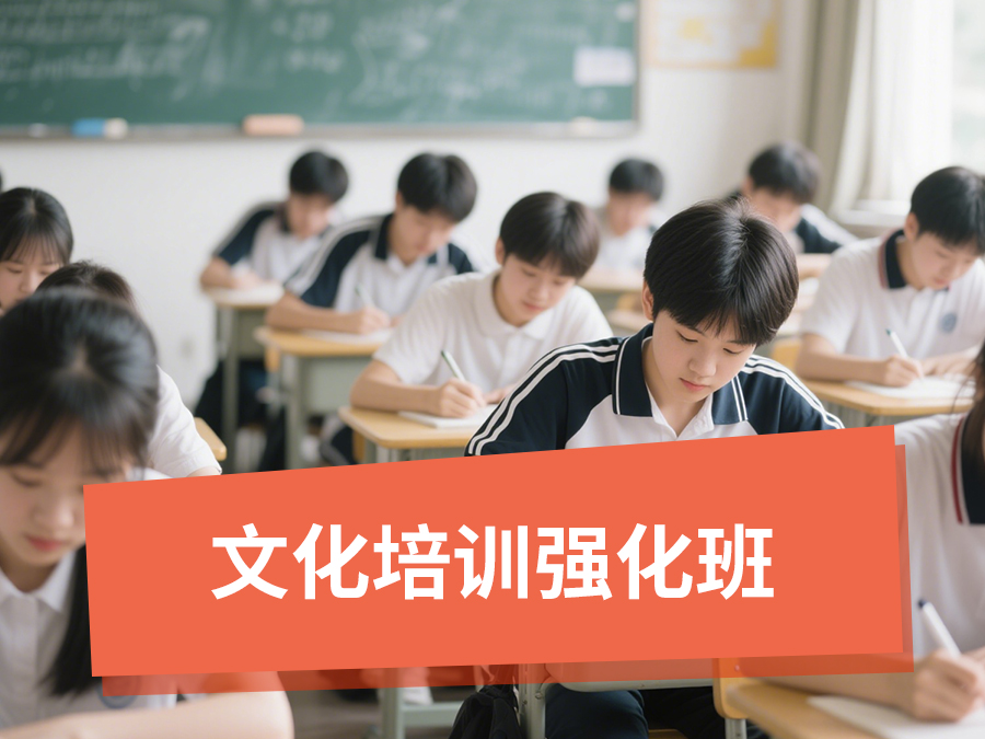 文化培训强化班