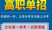 高三应届生单招突围战：专属定制课程，助你提前锁定理想大学-